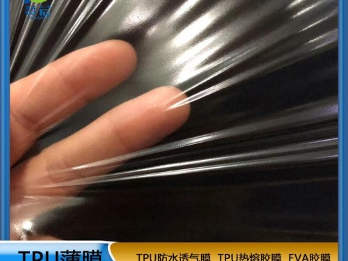 TPU防水透氣膜TPU薄膜 0.03mm低透明型號(hào)：195BMC2 0.03mm