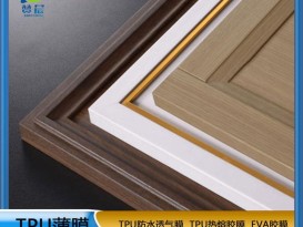 熱熔膠膜   噴膠吸塑膜   廠家直銷 ZC